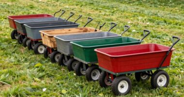 top 15 heavy duty garden carts
