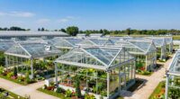 top 16x20 greenhouse picks