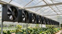 top 8x10 greenhouse fans