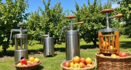 top backyard apple cider presses