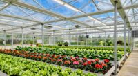 top commercial greenhouse kits