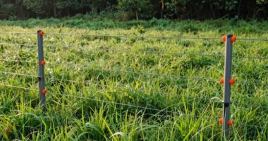 top deer fence kit list