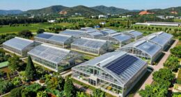 top greenhouse energy curtain systems