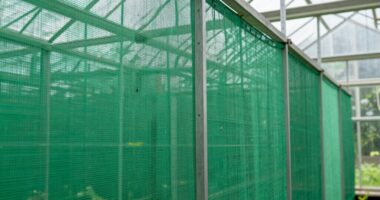 top greenhouse insect screens