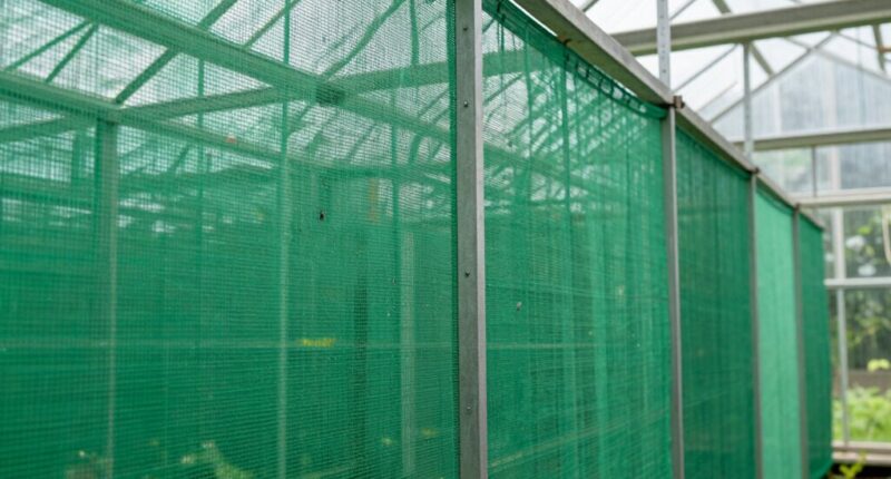 top greenhouse insect screens