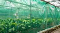 top greenhouse plastic options