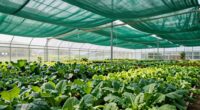top greenhouse shade cloth options