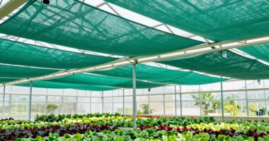 top greenhouse shade cloths