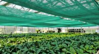 top greenhouse shade cloths