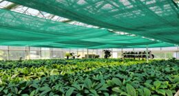 top greenhouse shade cloths