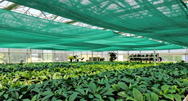 top greenhouse shade cloths