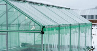 top greenhouse snow load options