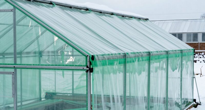 top greenhouse snow load options