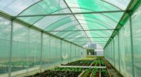 top greenhouse tunnel insulations