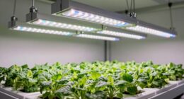 top grow light hanging kits