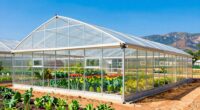 top high tunnel greenhouse kits