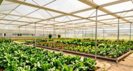 top high tunnel greenhouse kits