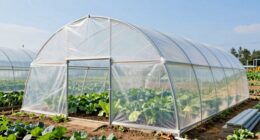 top hoop house greenhouse kits