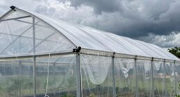 top hurricane resistant greenhouse covers