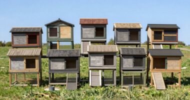 top large rabbit huts