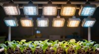top led grow lights