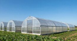 top reinforced greenhouse kits