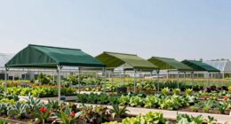 top retractable greenhouse shades