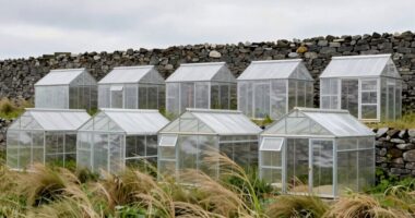 top wind resistant lean to greenhouses