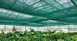 top wind resistant shade cloths