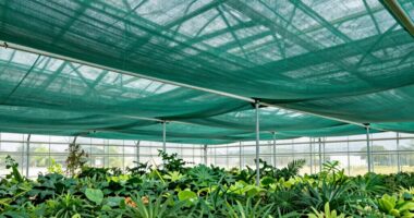 top wind resistant shade cloths