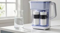 understanding water filter functions