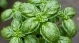 use pinch method effectively