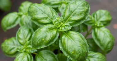 use pinch method effectively