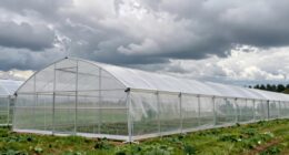 wind resistant greenhouse kit options