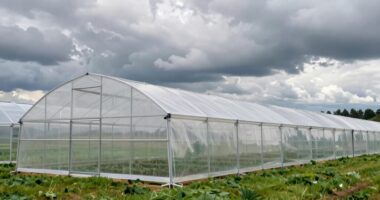 wind resistant greenhouse kit options