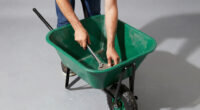 10 Best Utility Wagon for Greenhouse Hauling in 2026