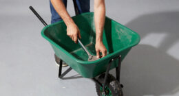 10 Best Utility Wagon for Greenhouse Hauling in 2026