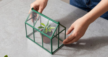 11 Best Best Premium Greenhouse Kit in 2026