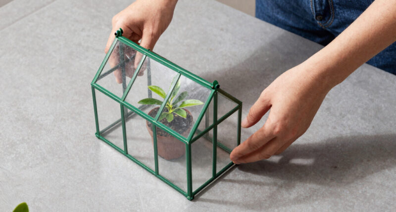 11 Best Best Premium Greenhouse Kit in 2026