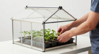 11 Best Greenhouse for Seed Starting in 2026