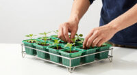 11 Best Greenhouse Seed Starting Rack in 2026