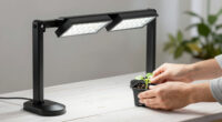 11 Best Grow Lights For Greenhouse Seedlings In 2026