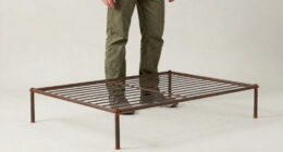 12 Best Heavy Duty Plant Support Trellis in 2026