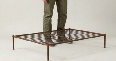12 Best Heavy Duty Plant Support Trellis in 2026