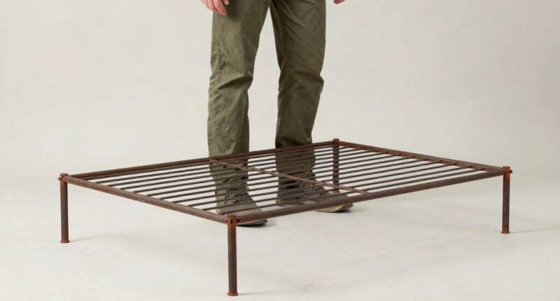 12 Best Heavy Duty Plant Support Trellis in 2026