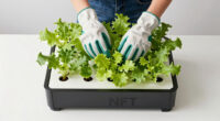 12 Best NFT Hydroponic System For Greenhouse In 2026