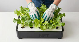 12 Best NFT Hydroponic System For Greenhouse In 2026