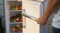 12 Best Upright Freezer for Garage Use in 2026