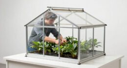 12 Best Walk In Greenhouse for Winter Growing in 2026