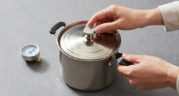 13 Best Pressure Canner For Homegrown Food In 2026